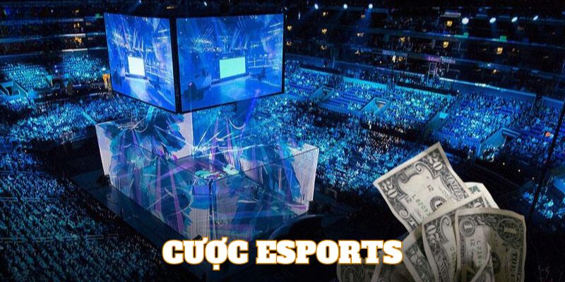 Cược Esports là trò chơi ăn khách nhất tại thể thao Kubet77